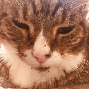 Meet your Posher, Jolynn